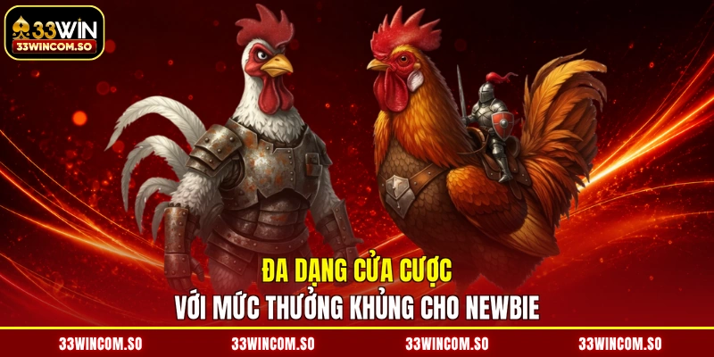 Đa dạng cửa cược với mức thưởng khủng cho newbie